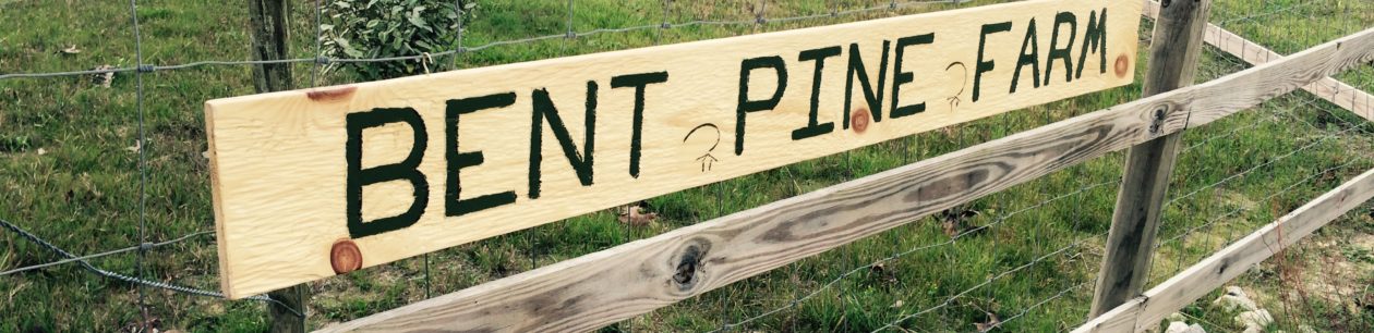 Bent Pine Farm