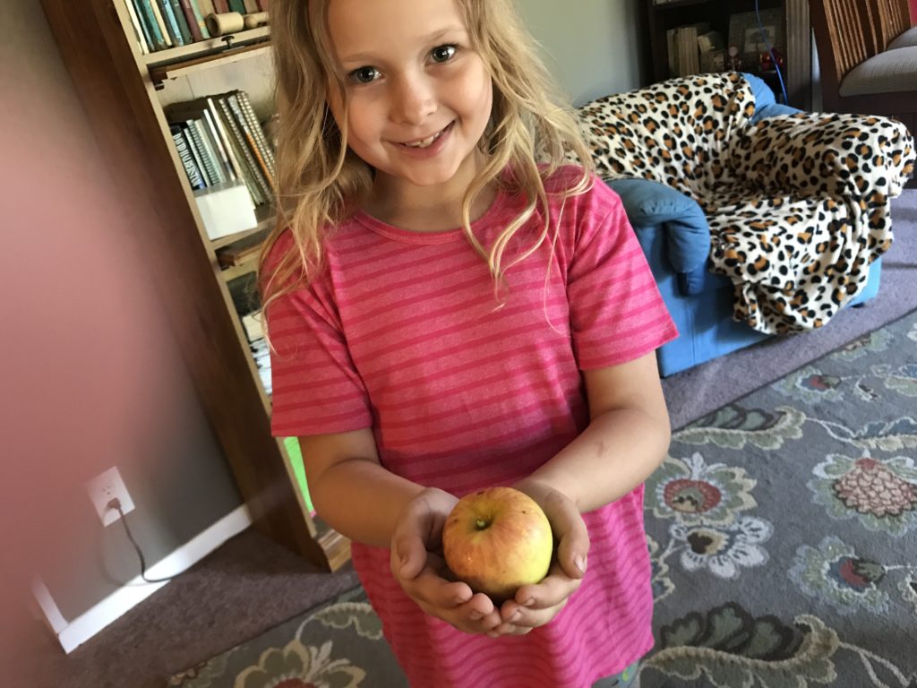 Lily and the first apple 2017